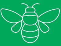 abejas