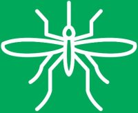 mosquitos